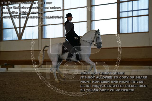 s_K3F02928.JPG